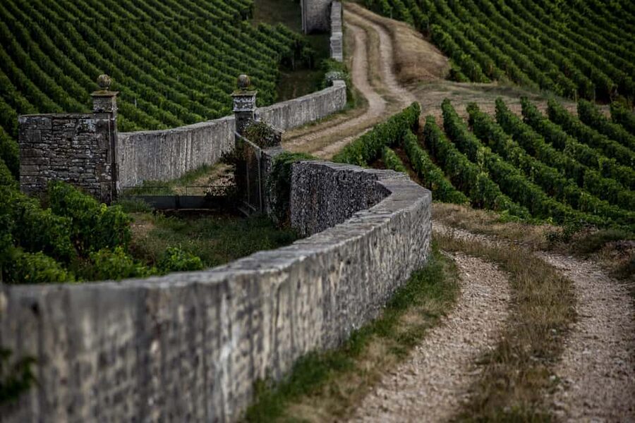 Small group full day tour in the Burgundy vineyards - The first tasting and what you learn