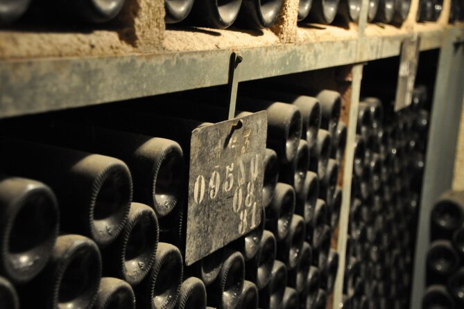 Small-Group Full-Day Tour of Côte de Nuits, Côte de Beaune Vineyards and Beaune Historical District - The Côte de Nuits: famous names and cellar character