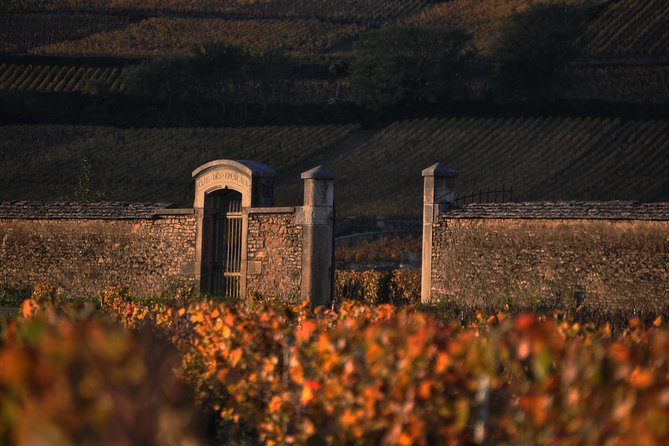 Small-Group Full-Day Tour of Côte de Nuits, Côte de Beaune Vineyards and Beaune Historical District - What the two tastings can teach you