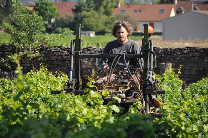 Small-Group Full-Day Tour of Côte de Nuits, Côte de Beaune Vineyards and Beaune Historical District - How the guides shape the experience