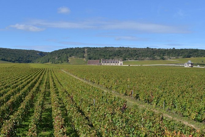 Small-Group Full-Day Tour of Côte de Nuits, Côte de Beaune Vineyards and Beaune Historical District - Meeting at Place Darcy and settling into the van