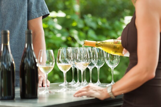 Small-Group Giant Redwoods and Russian River Wine Country Trip - Key points at a glance