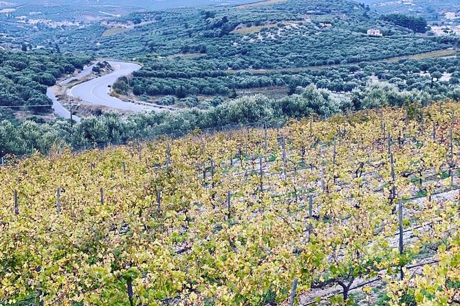 Small Group: Knossos, Olive Oil, Winery & Raki with Lunch - Booking details and the cancellation rule