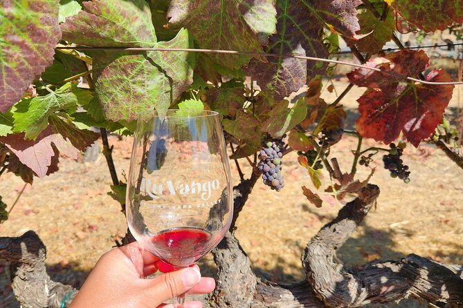 Small Group Napa and Sonoma Full-Day Wine Tour from San Francisco - Who will enjoy this day most