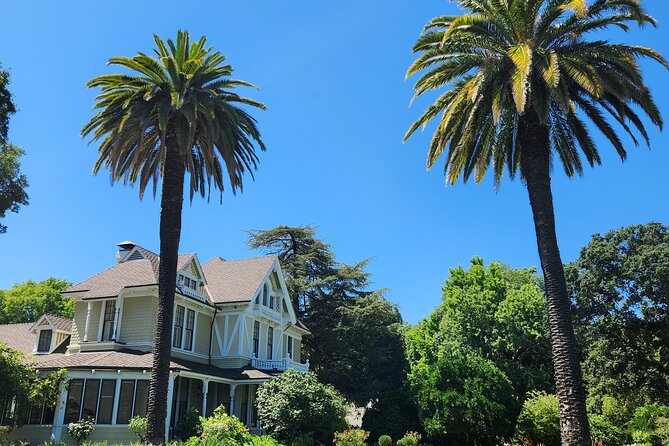 Small Group Napa and Sonoma Half-Day Wine Tour from San Francisco - The return to San Francisco