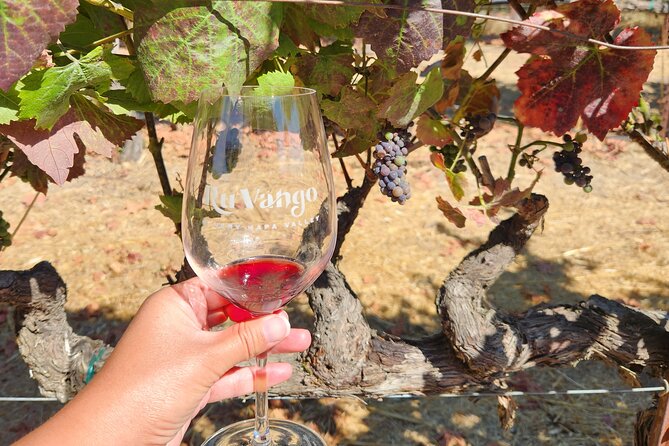 Small Group Napa and Sonoma Half-Day Wine Tour from San Francisco - Price, included extras, and real value