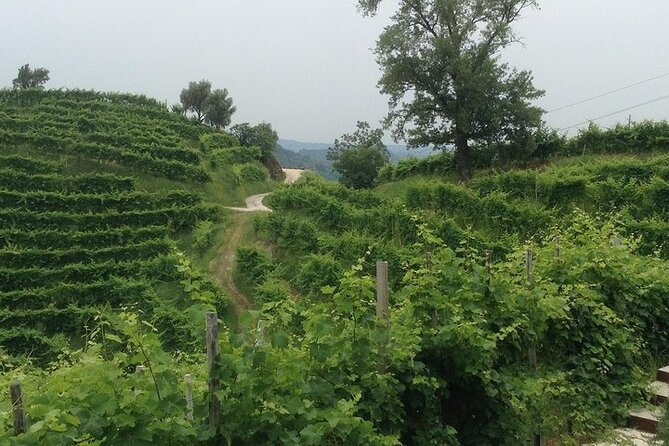 Small Group Prosecco Experience from Venice - Boutique Winery - Meeting Riccardo at Piazzale Roma