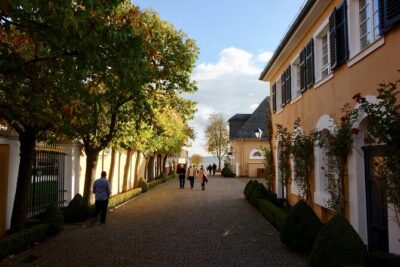 Small Group Rheingau Vineyards Tour with Castles and Abbeys
