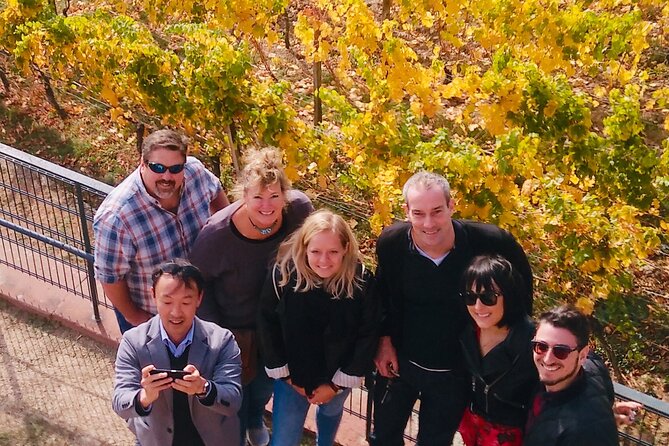 Small Group Rheingau Vineyards Tour with Castles and Abbeys - Rüdesheim’s RheinWeinWelt: 80 producers under one roof