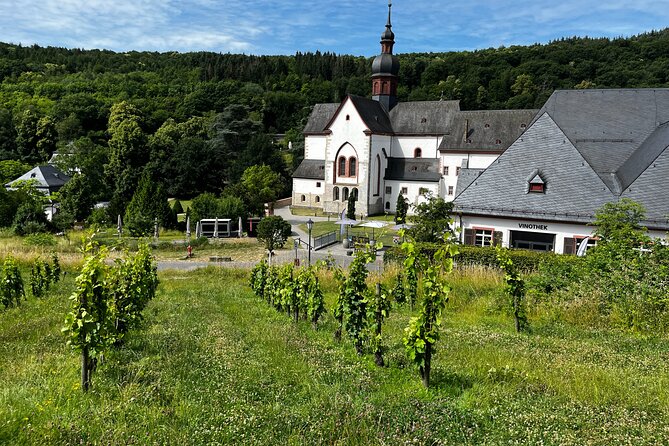 Small Group Rheingau Vineyards Tour with Castles and Abbeys - The family-run estate and the final six-wine flight