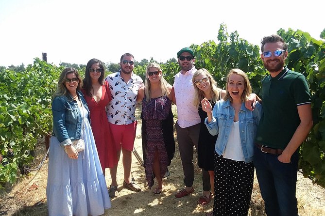 Small-Group Wine Country Tour from San Francisco with Tastings - Sausalito closes the loop with bay views