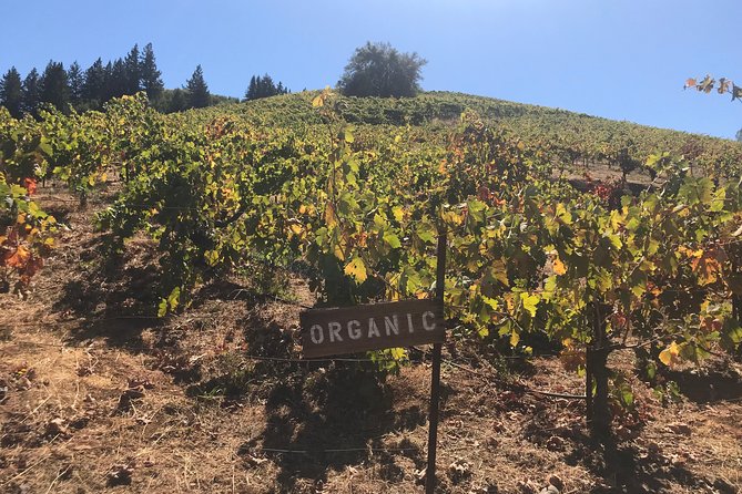 Small-Group Wine Country Tour from San Francisco with Tastings - Who will enjoy this Sonoma day trip?