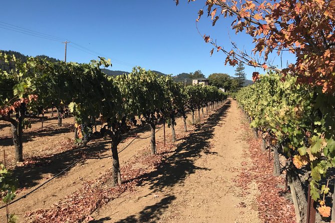 Small-Group Wine Country Tour from San Francisco with Tastings - Practical details to know before booking