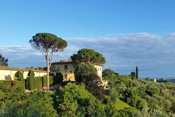 Small Group Wine Tasting in Tuscany with Vineyard Visit - Why the one-winery format matters
