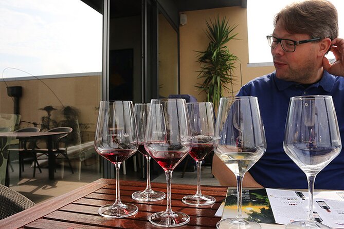 Small Group Wine Tour in Sumadija Wine Region - Aleksandrović Winery and a royal recipe