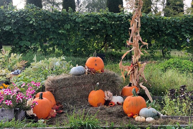 Smokies, S'mores, Mulled Wine and Fall Fun at Kelowna Winery - Fire pits, hay bales, and homemade s’mores