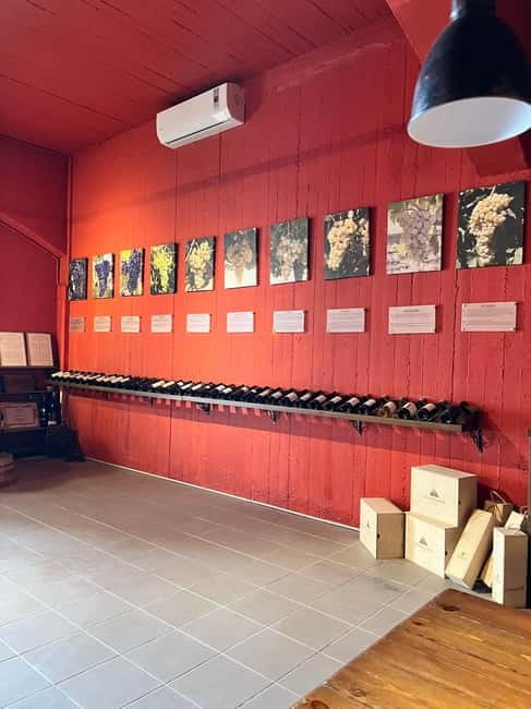 Soap Workshop, Olive Oil, Lyrarakis Winery and Lunch at Peza - Should you book the Peza food and wine tour?