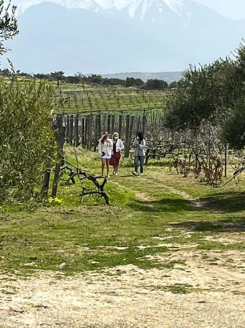 Soap Workshop, Olive Oil, Lyrarakis Winery and Lunch at Peza - Timing, walking, and comfort