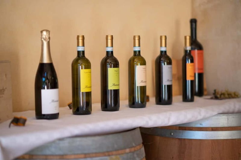 Soave: Wine Tasting and Vineyard Tour in Historical Centre - Cured meats, cheeses, and baked snacks