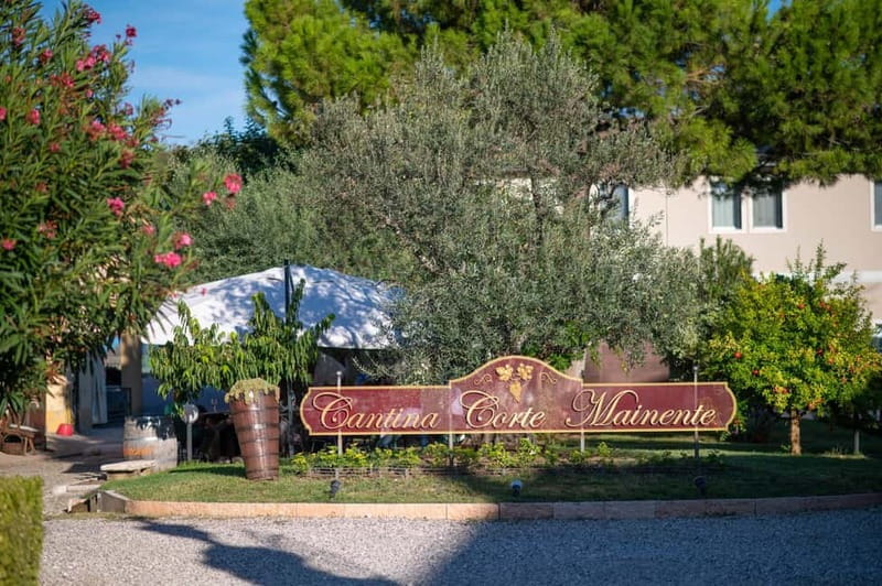 Soave: Wine Tasting and Vineyard Tour in Historical Centre - Who will enjoy this Soave experience?