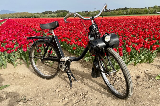 Solex tour and tasting at Domaine les Aphillanthes - Key points to know before booking