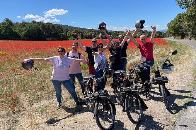 Solex tour and tasting at Domaine les Aphillanthes - Dentelles de Montmirail and Mont Ventoux views