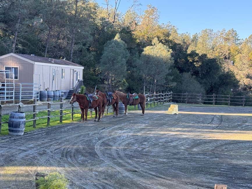 Sonoma County: Wine Country Horseback Riding Adventure - Why this Sonoma horseback ride is different