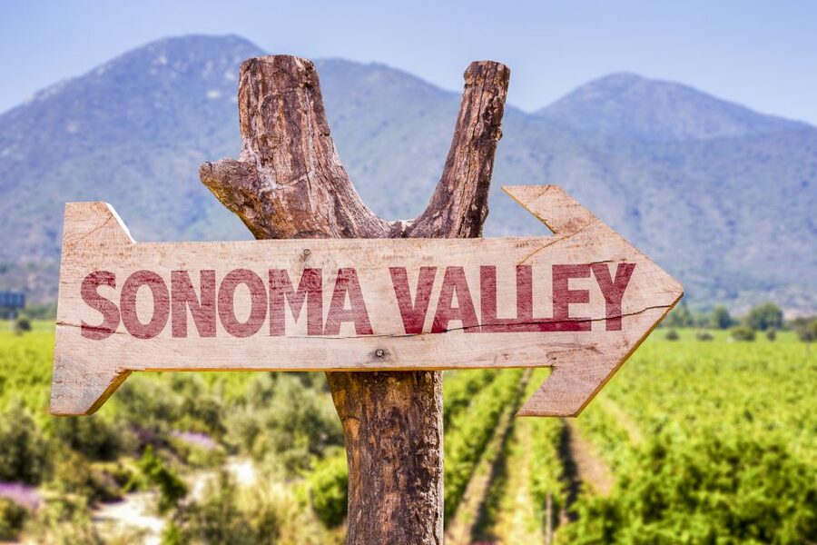 Sonoma Valley: Guided Winery Tour with Picnic Lunch - Who should book this Sonoma wine tour