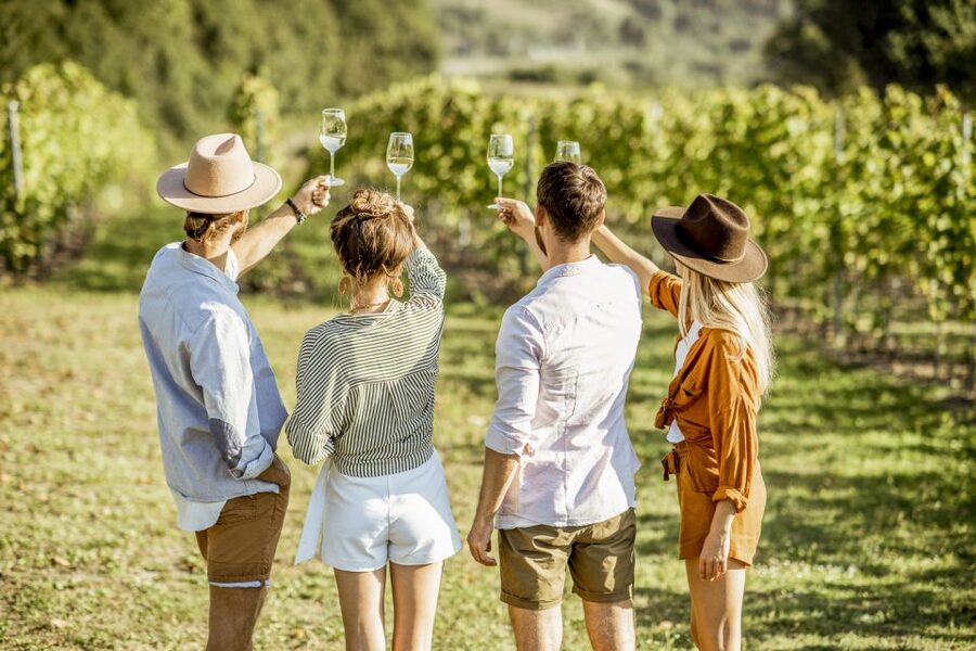 Sonoma Valley: Guided Winery Tour with Picnic Lunch - Three boutique wineries instead of a cookie-cutter wine day