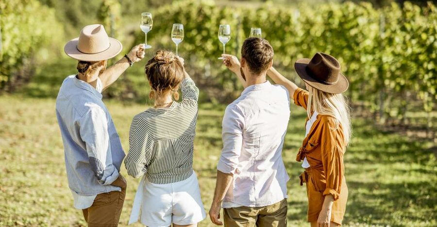 Sonoma Valley: Guided Winery Tour with Picnic Lunch - What the seven-hour schedule gives you