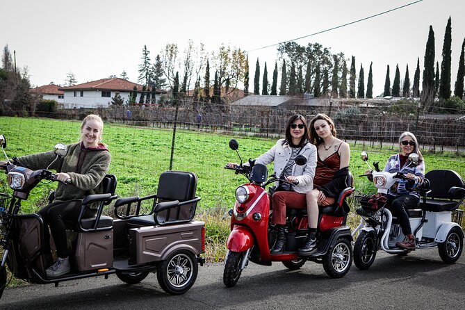 Sonoma Wine Country Electric Trike Tour - 3 hours - Mission San Francisco Solano in the town center