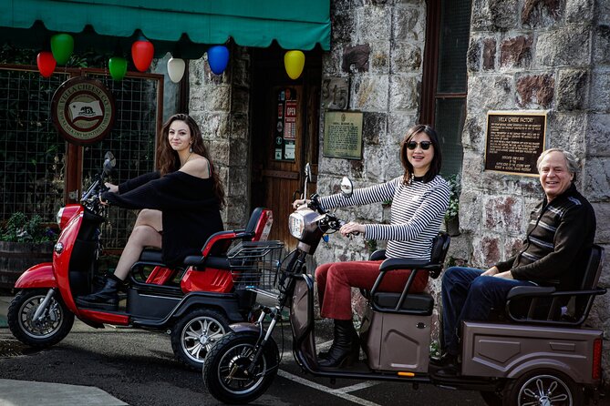 Sonoma Wine Country Electric Trike Tour - 3 hours - A local winery instead of a packed tasting-room schedule