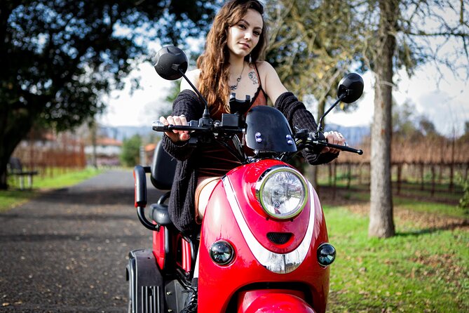 Sonoma Wine Country Electric Trike Tour - 3 hours - Is $175 a fair price for three hours?