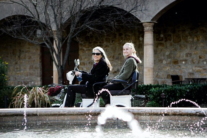 Sonoma Wine Country Electric Trike Tour - 3 hours - Who will enjoy this most?