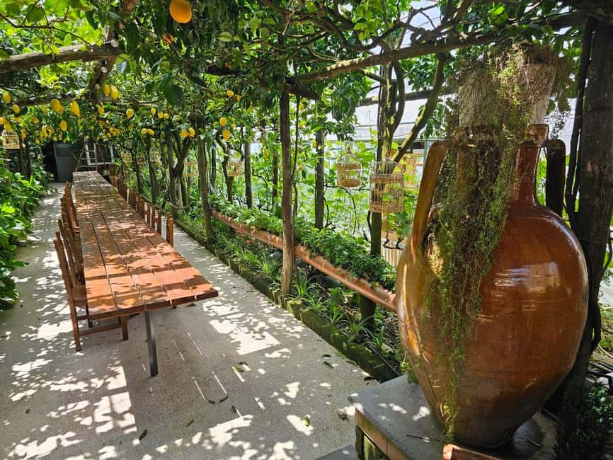 Sorrento Coast E-Bike Tour and Visit at Vinegar Cellar - Key points to know before you book