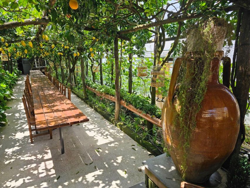 Sorrento: Food Tour by E-Bike and Visit at Vinegar Cellar - Key points at a glance