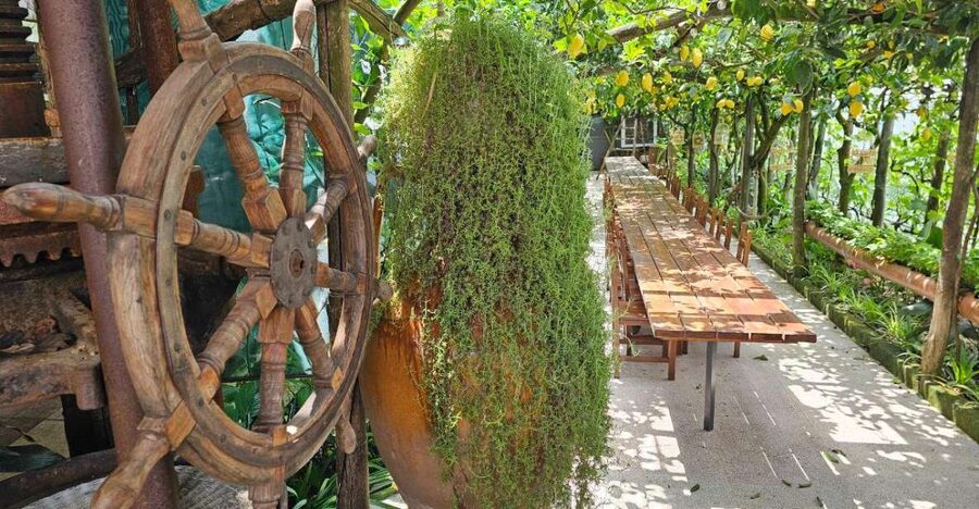 Sorrento: Food Tour by E-Bike and Visit at Vinegar Cellar - Leaving Sorrento for the old farming country