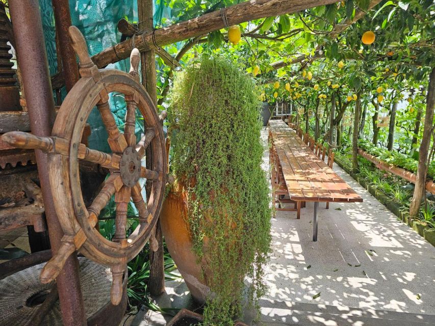 Sorrento: Food Tour by E-Bike and Visit at Vinegar Cellar - Two and a half hours on the Sorrento Peninsula