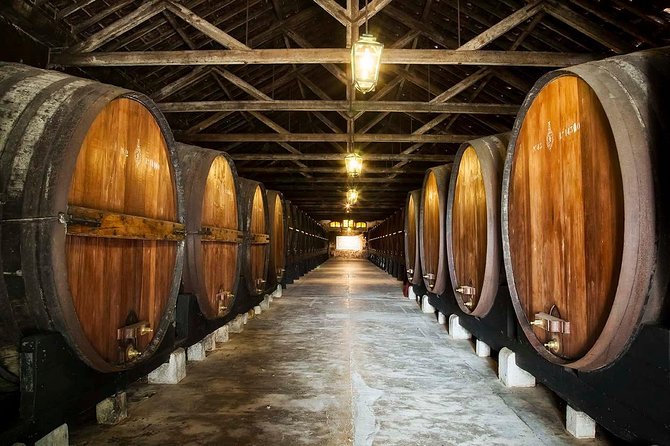 South Portugal Wine Route Private Full Day Tour from Lisbon - From Lisbon to the Vineyards of Alentejo