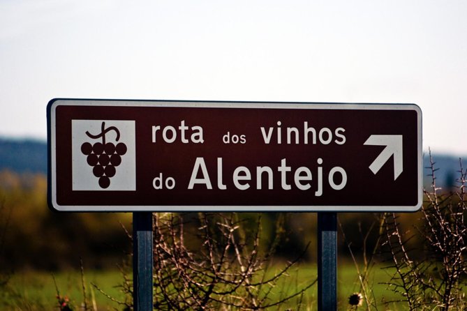 South Portugal Wine Route Private Full Day Tour from Lisbon - Azeitão: Wine, Vineyards, and Small-Town Portugal