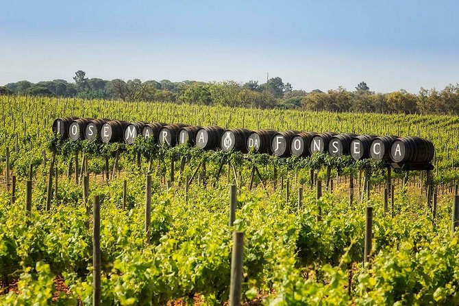South Portugal Wine Route Private Full Day Tour from Lisbon - How the Nine Hours Are Likely to Feel