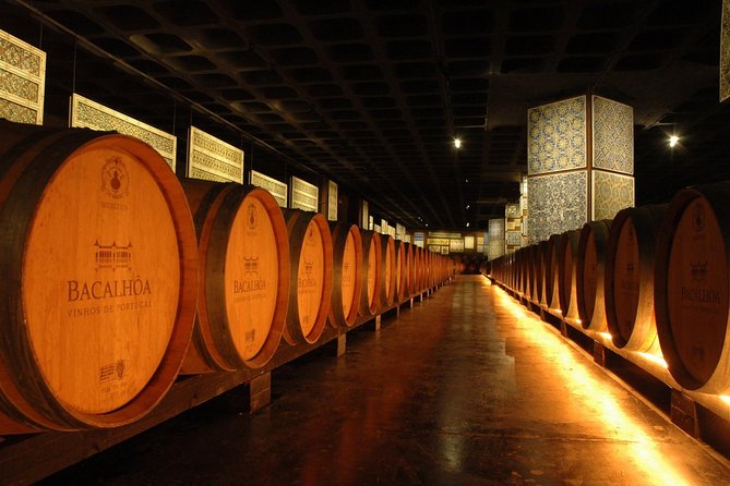 South Portugal Wine Route Private Full Day Tour from Lisbon - Who Will Get the Most From This Day