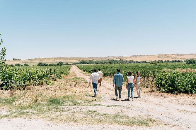 Spanish Villages & Winery Visit with Wine Tasting and Tapas Lunch - One winery or two, and why the distinction matters