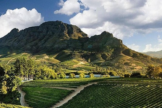 Splendour in the Winelands - Private Tour - Stop one: gardens, deli boards, and the first wines
