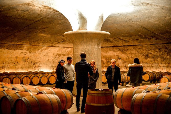 St-Emilion & Médoc Wine Day Tour: Chateaus, Tastings and Lunch - Médoc and Château Dauzac