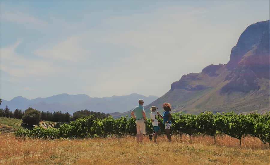 Stellenbosch: 4x4 Winelands Private Experience - Why the 4x4 matters in the Winelands