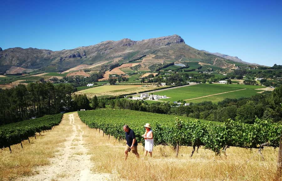 Stellenbosch: 4x4 Winelands Private Experience - Through Banghoek and the two wine valleys