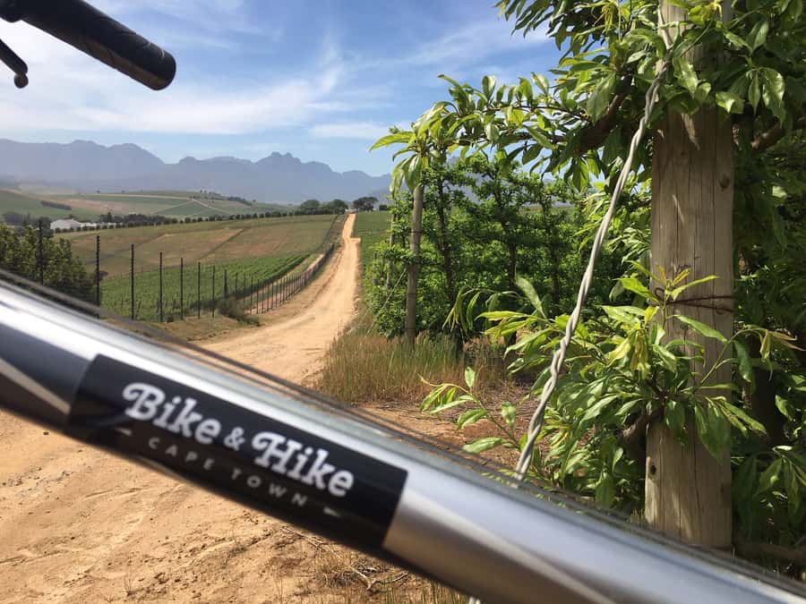 Stellenbosch: Devon Valley Vineyards Bicycle Tour w. Lunch - Why cycling changes the Stellenbosch wine day