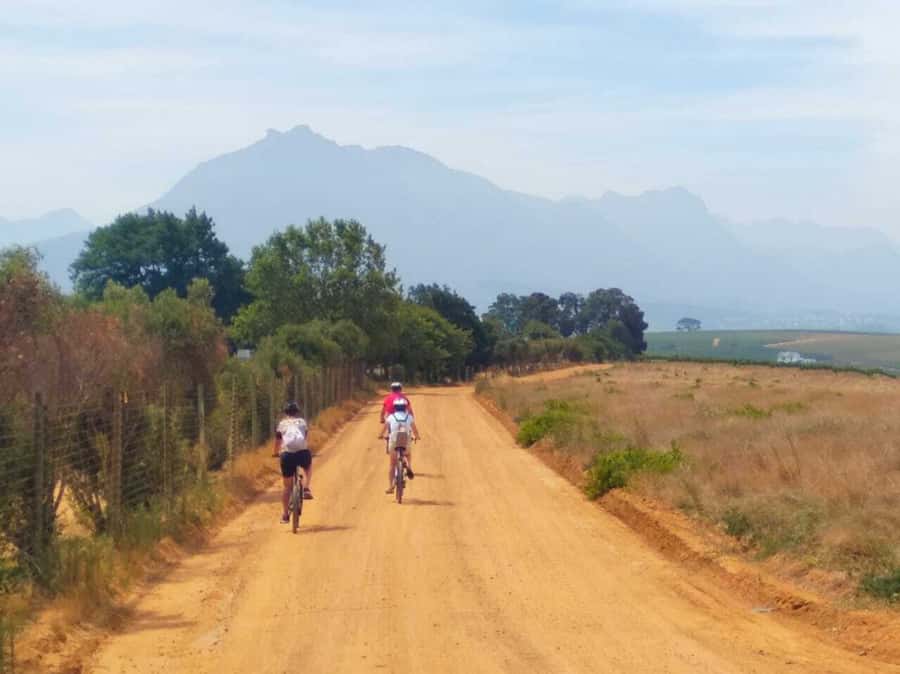 Stellenbosch: Devon Valley Vineyards Bicycle Tour w. Lunch - Getting fitted and setting out in Devon Valley