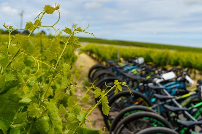 Stellenbosch Half Day Winelands Mountain Bike Tour - Key points for choosing this ride